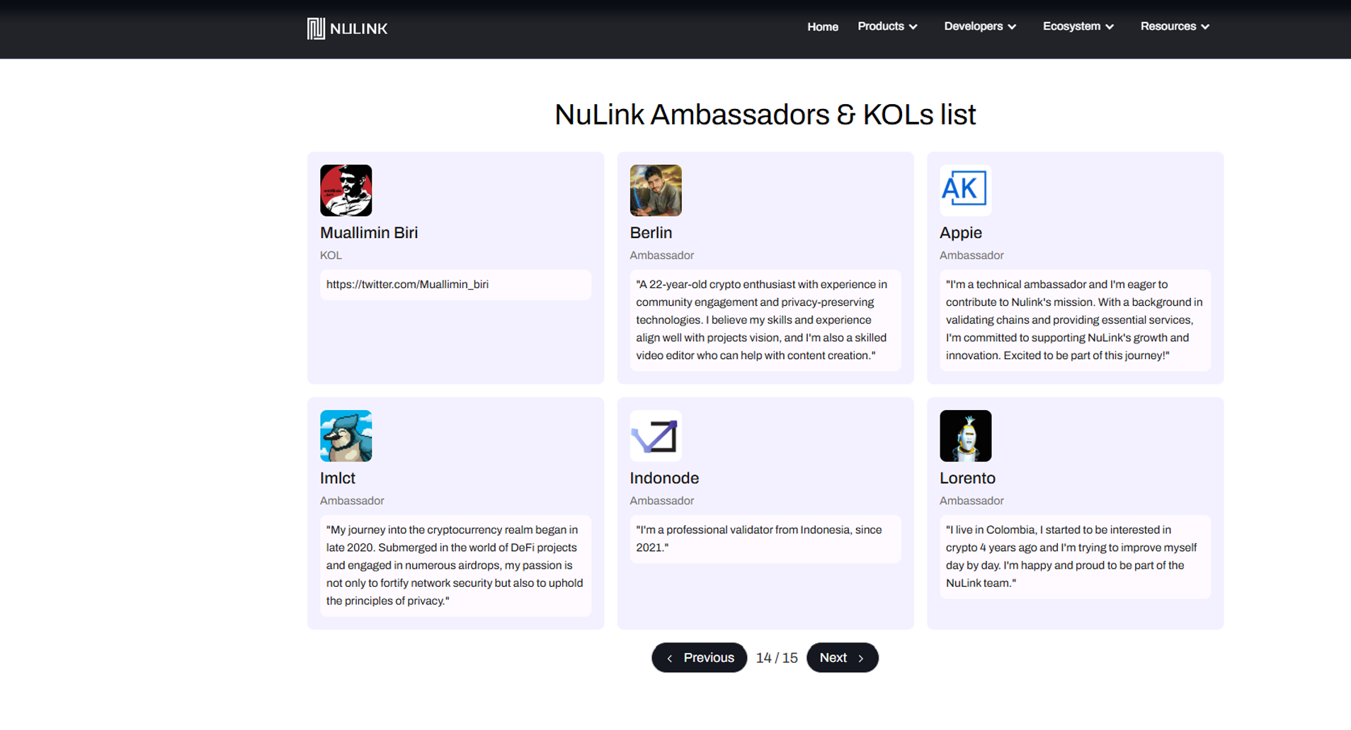 NuLink Network screenshot